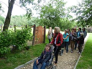 Leśne zacisze zdjęcie nr 1