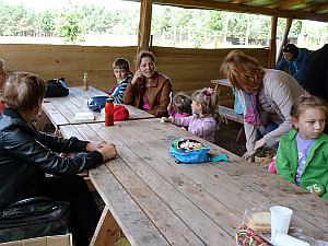 Leśne zacisze zdjęcie nr 6