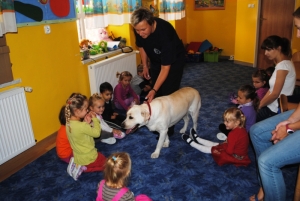 Dogoterapia  zdjęcie nr 1