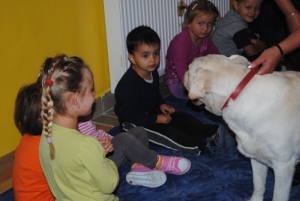 Dogoterapia  zdjęcie nr 2