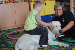 Dogoterapia  zdjęcie nr 8
