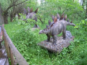 Zatorland zdjęcie nr 3